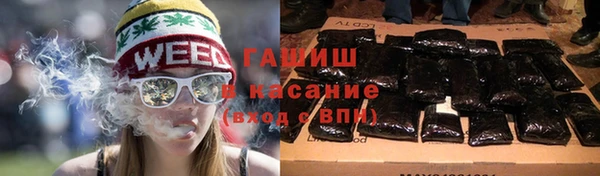 прущие крисы Бородино