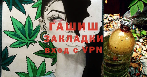 прущие крисы Бородино