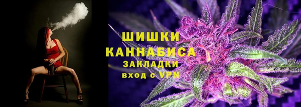 прущие крисы Бородино