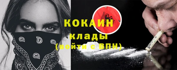 прущие крисы Бородино