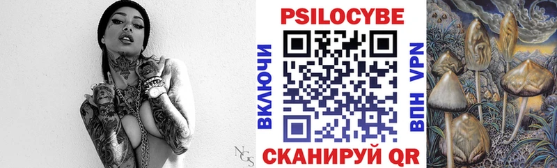 купить наркотик  Энгельс  Псилоцибиновые грибы мицелий 